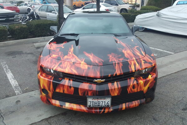 20151210_163929 20151210_163929